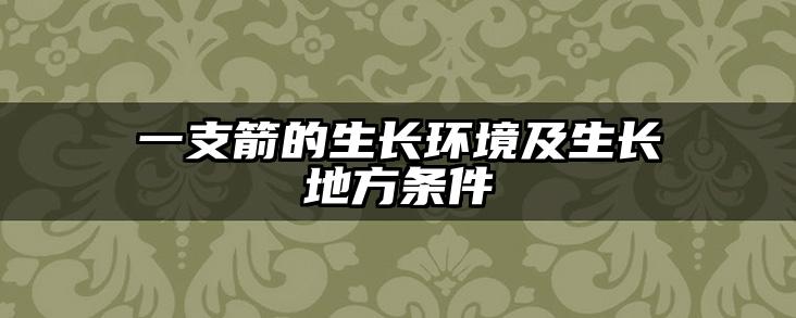 一支箭的生长环境及生长地方条件
