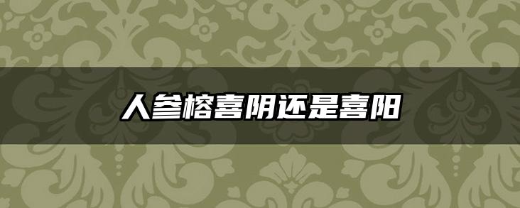 人参榕喜阴还是喜阳
