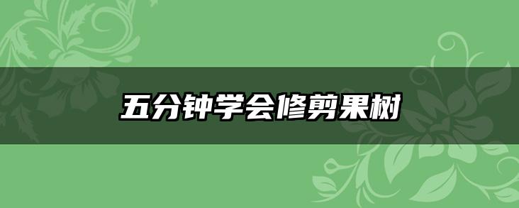 五分钟学会修剪果树