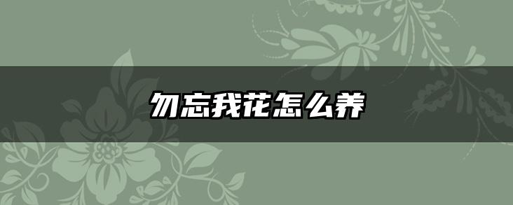 勿忘我花怎么养