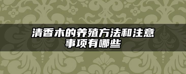 清香木的养殖方法和注意事项有哪些