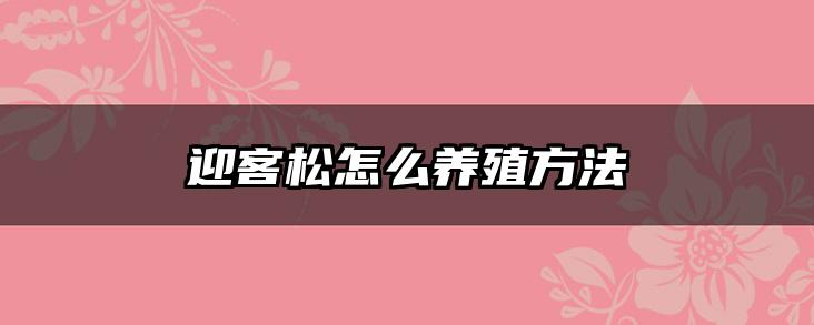 迎客松怎么养殖方法