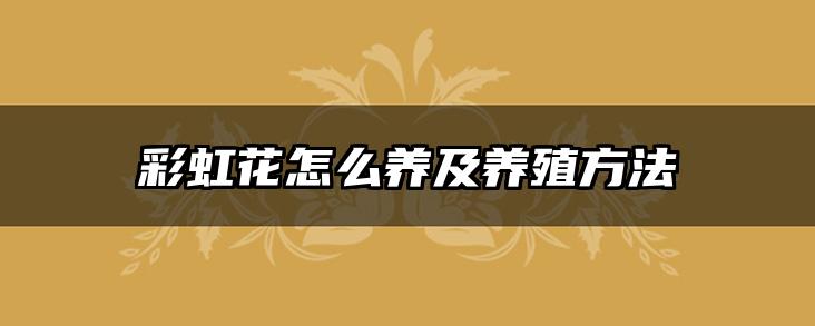 彩虹花怎么养及养殖方法