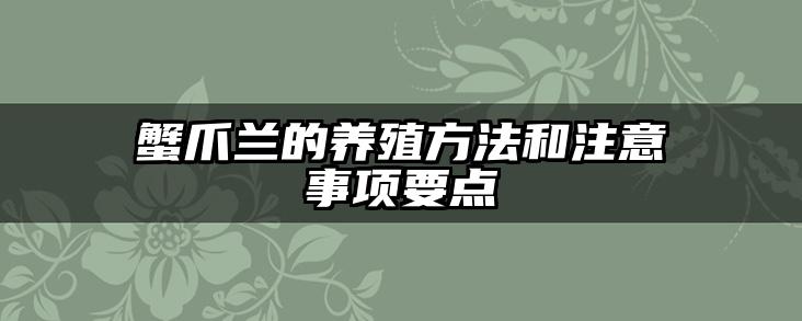 蟹爪兰的养殖方法和注意事项要点
