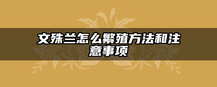 文殊兰怎么繁殖方法和注意事项