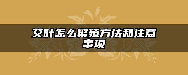 艾叶怎么繁殖方法和注意事项