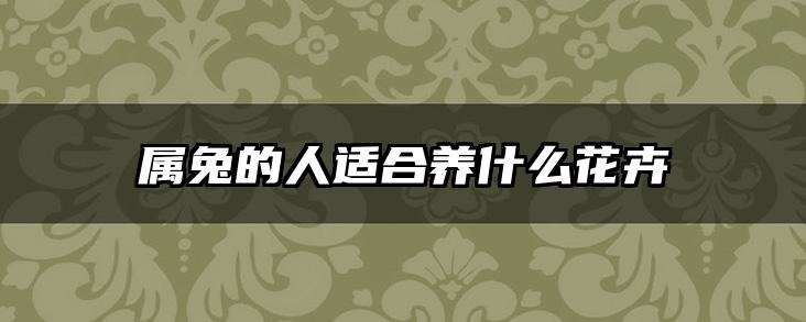 属兔的人适合养什么花卉