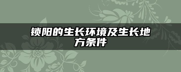 锁阳的生长环境及生长地方条件