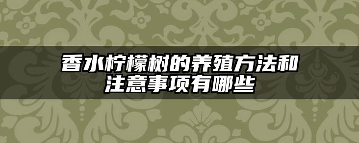 香水柠檬树的养殖方法和注意事项有哪些