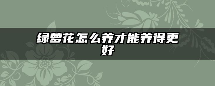 绿萝花怎么养才能养得更好