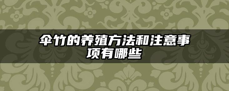 伞竹的养殖方法和注意事项有哪些