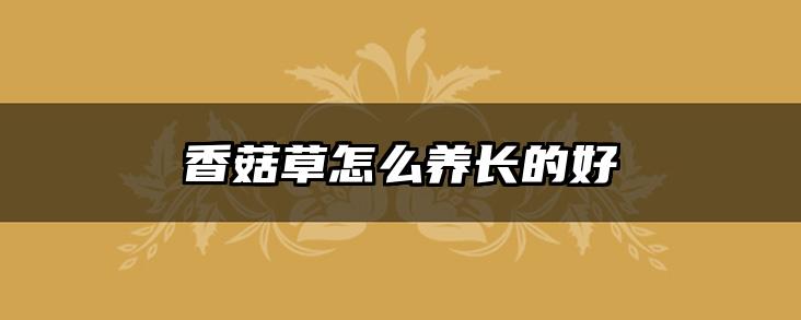 香菇草怎么养长的好