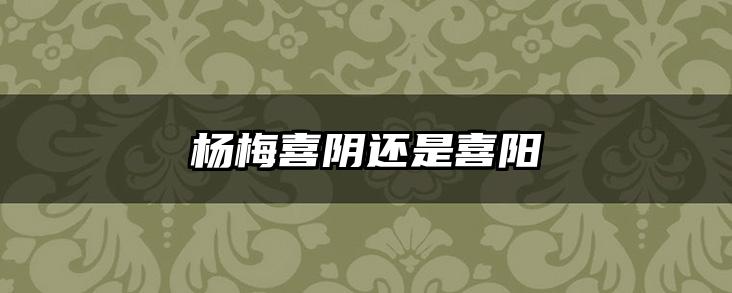 杨梅喜阴还是喜阳
