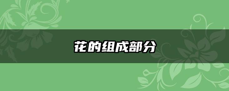 花的组成部分