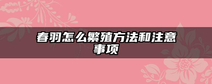 春羽怎么繁殖方法和注意事项