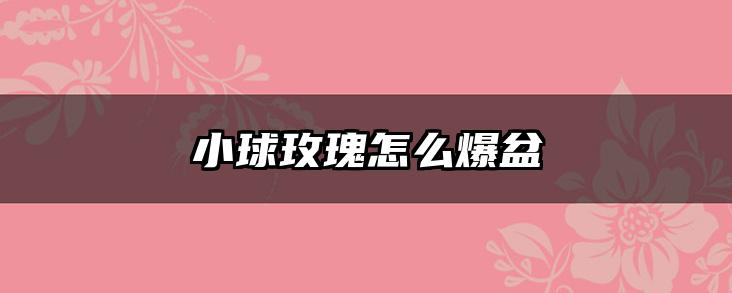 小球玫瑰怎么爆盆