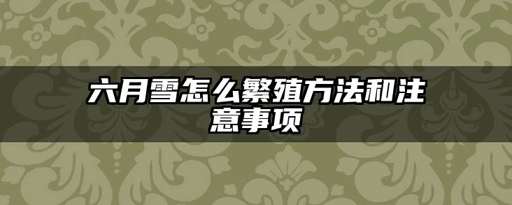 六月雪怎么繁殖方法和注意事项