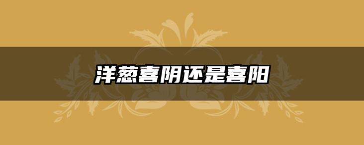 洋葱喜阴还是喜阳