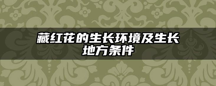 藏红花的生长环境及生长地方条件