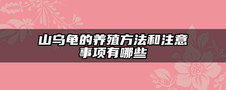 山乌龟的养殖方法和注意事项有哪些
