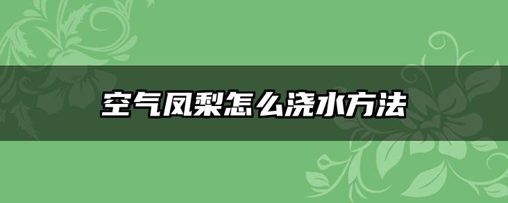 空气凤梨怎么浇水方法