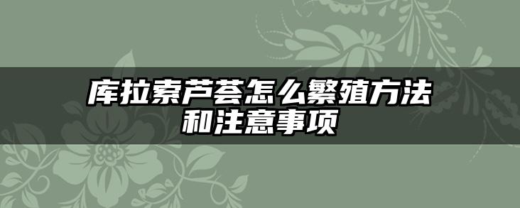 库拉索芦荟怎么繁殖方法和注意事项
