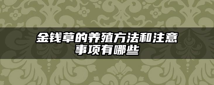 金钱草的养殖方法和注意事项有哪些