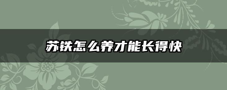 苏铁怎么养才能长得快