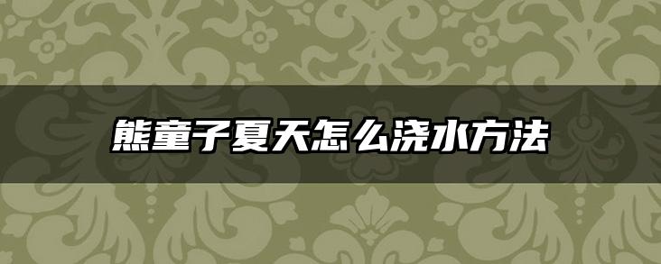 熊童子夏天怎么浇水方法