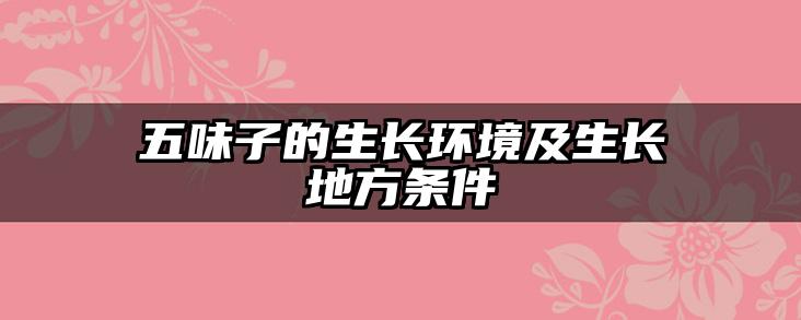 五味子的生长环境及生长地方条件