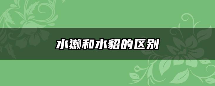 水獭和水貂的区别