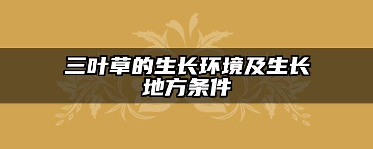 三叶草的生长环境及生长地方条件