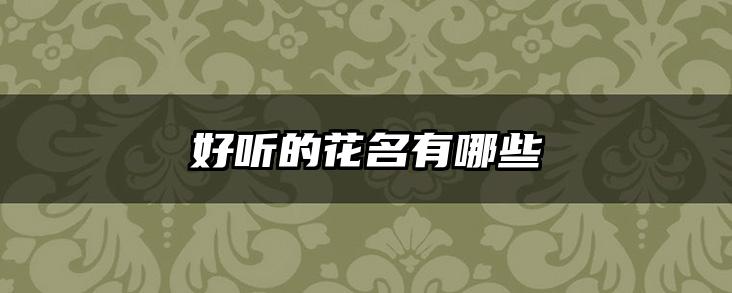 好听的花名有哪些