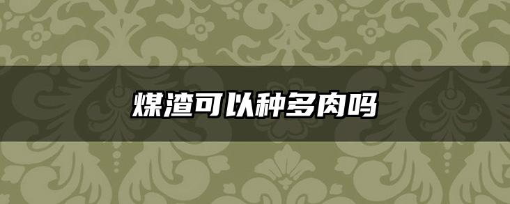 煤渣可以种多肉吗