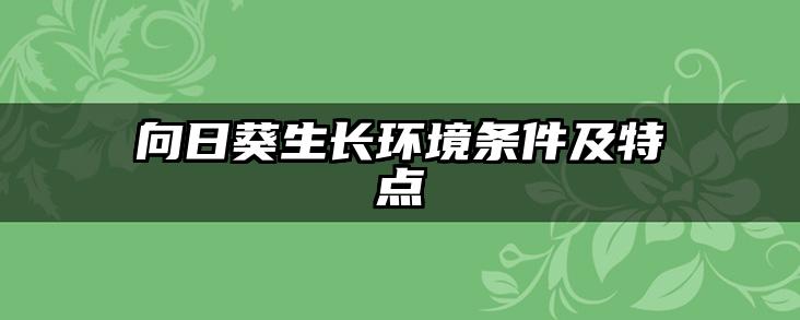 向日葵生长环境条件及特点
