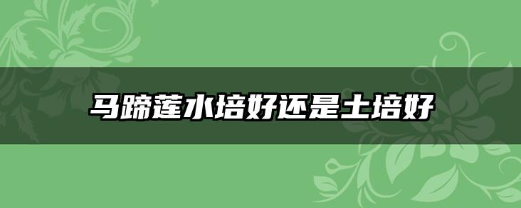 马蹄莲水培好还是土培好