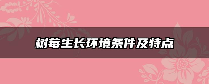 树莓生长环境条件及特点