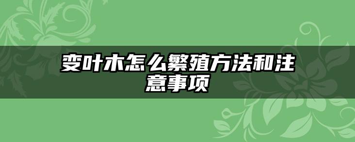 变叶木怎么繁殖方法和注意事项