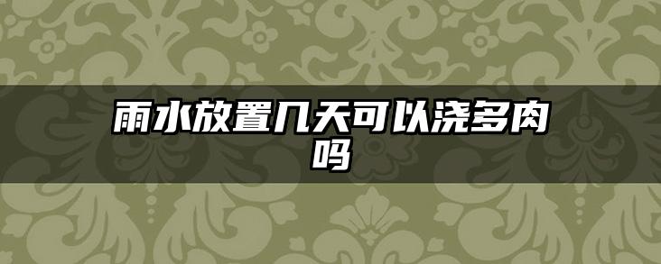 雨水放置几天可以浇多肉吗