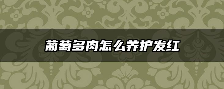 葡萄多肉怎么养护发红
