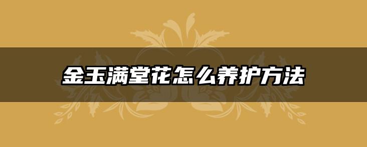 金玉满堂花怎么养护方法