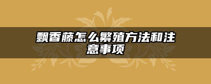 飘香藤怎么繁殖方法和注意事项