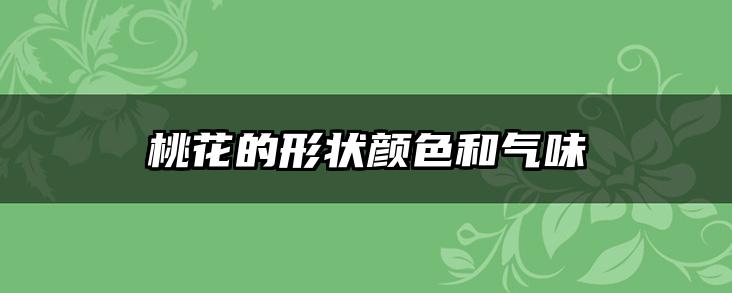 桃花的形状颜色和气味