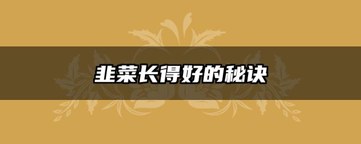 韭菜长得好的秘诀