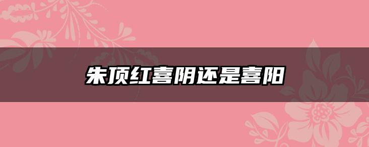 朱顶红喜阴还是喜阳