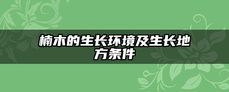 楠木的生长环境及生长地方条件
