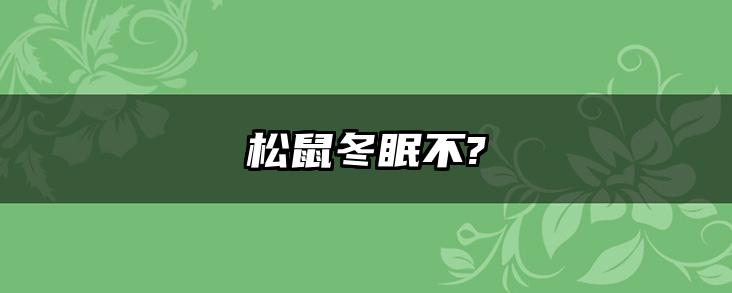 松鼠冬眠不?