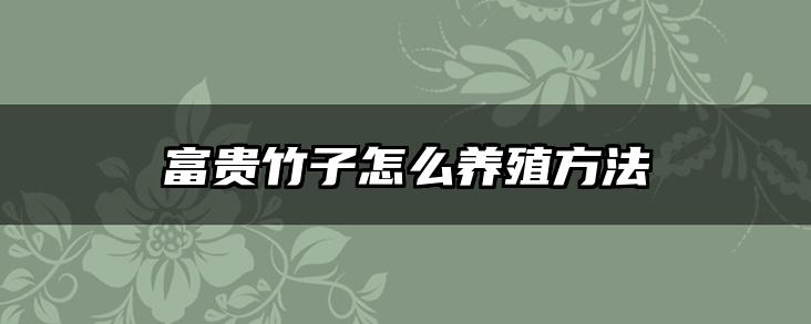 富贵竹子怎么养殖方法