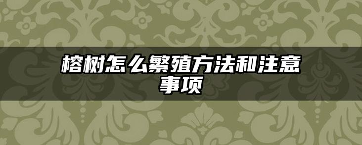 榕树怎么繁殖方法和注意事项