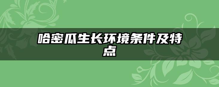 哈密瓜生长环境条件及特点